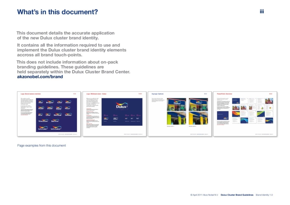 dulux_cluster_brand_guidelines_第5页