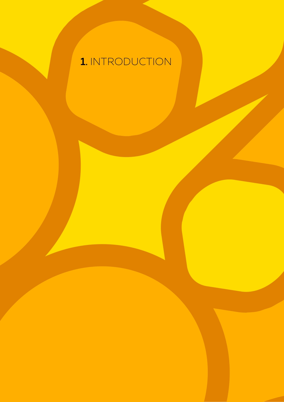 expo2020- 世博会 迪拜VI手册_第3页