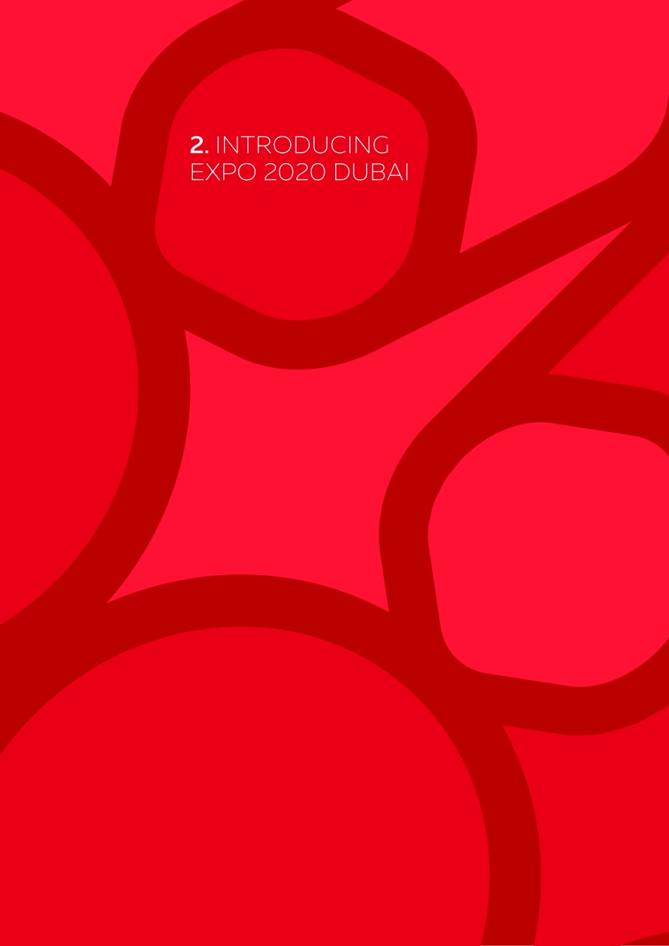 expo2020- 世博会 迪拜VI手册_第5页