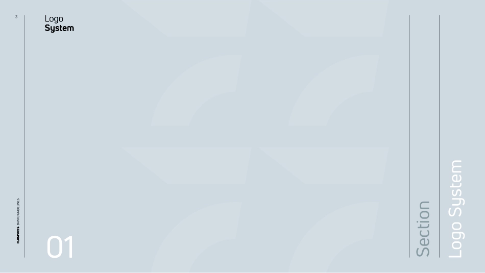 FloSports-Brand-Guidelines_第3页