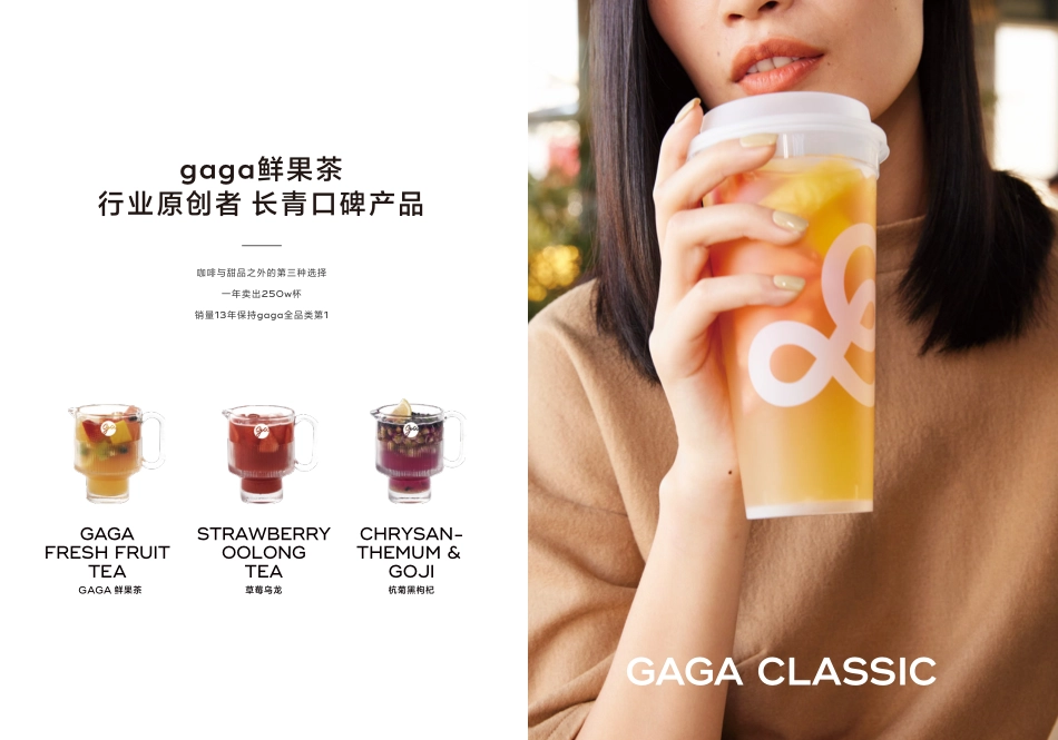 gaga鲜语品牌手册（pdf格式45p）_第9页