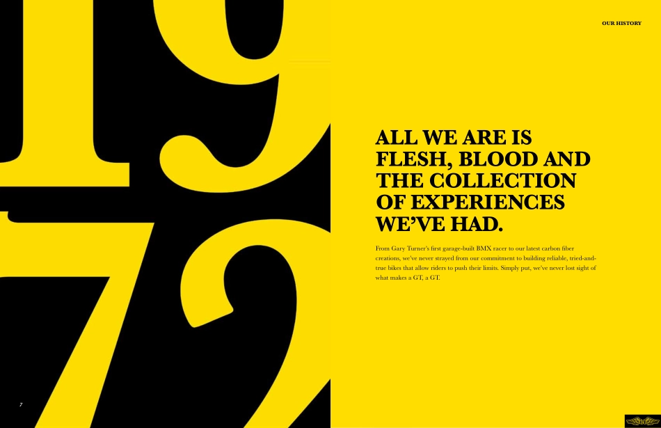 GT_BrandBible_第4页