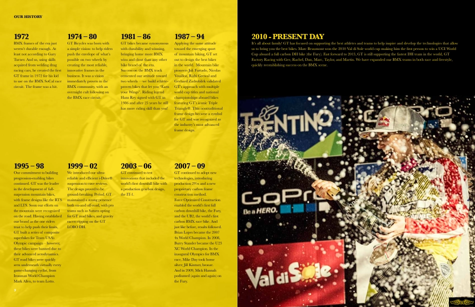 GT_BrandBible_第5页