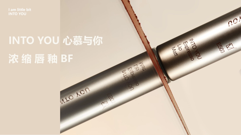 INTO YOU浓缩唇釉brief2022_第1页