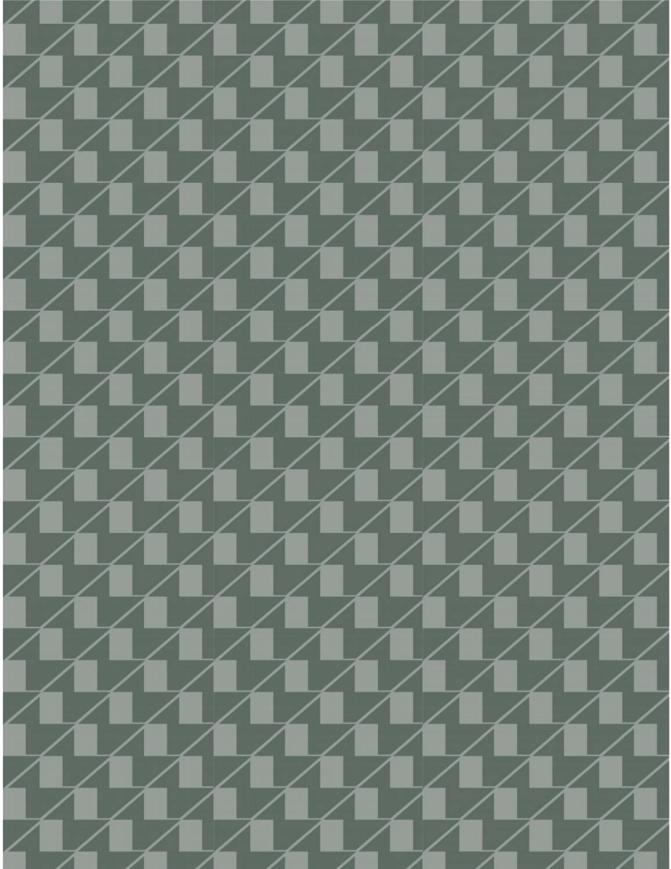 issuu_output_第2页