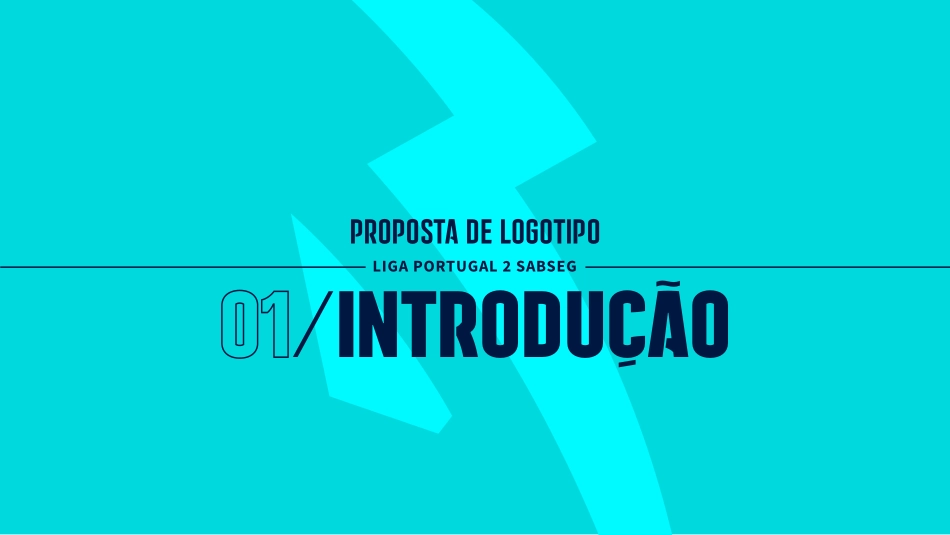 lp2sabseg-2023_第2页