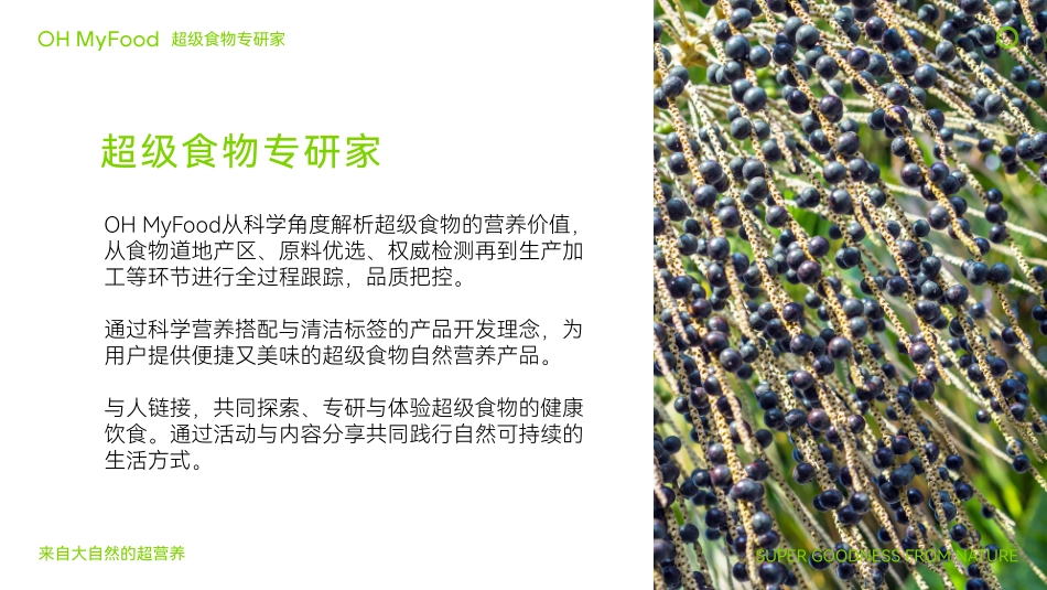 OHMyFood品牌手册_第7页