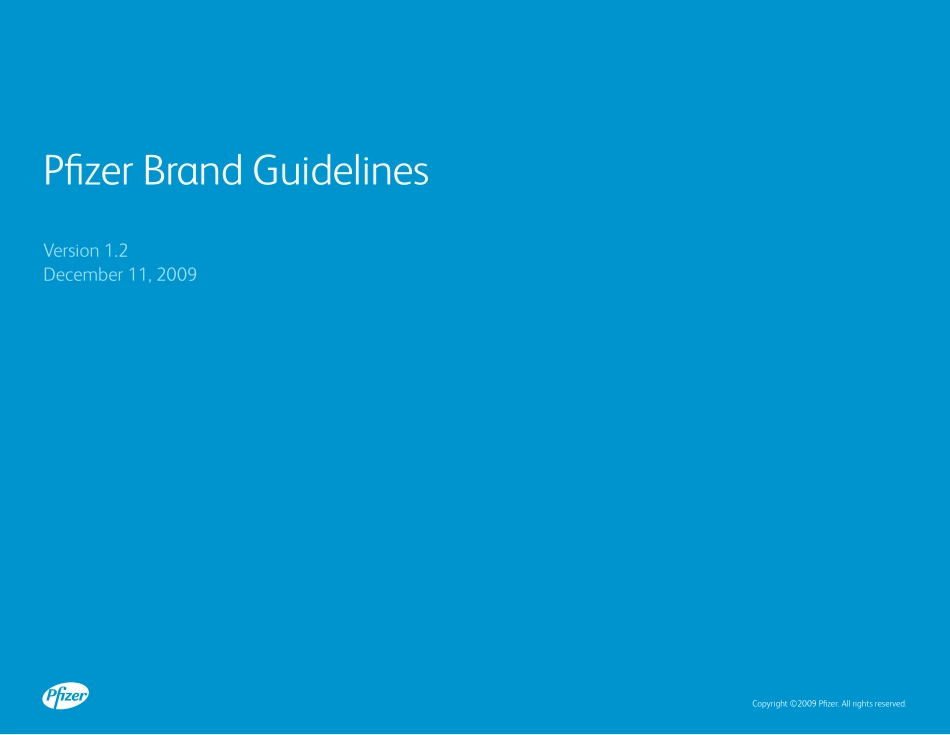 Pfizer-辉瑞品牌指南2009_第1页