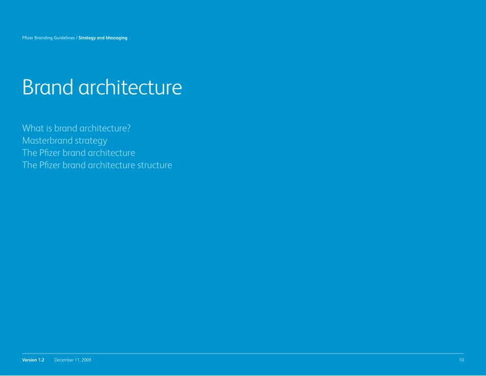 Pfizer-辉瑞品牌指南2009_第10页