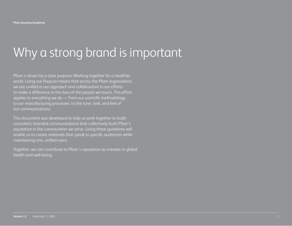 Pfizer-辉瑞品牌指南2009_第3页