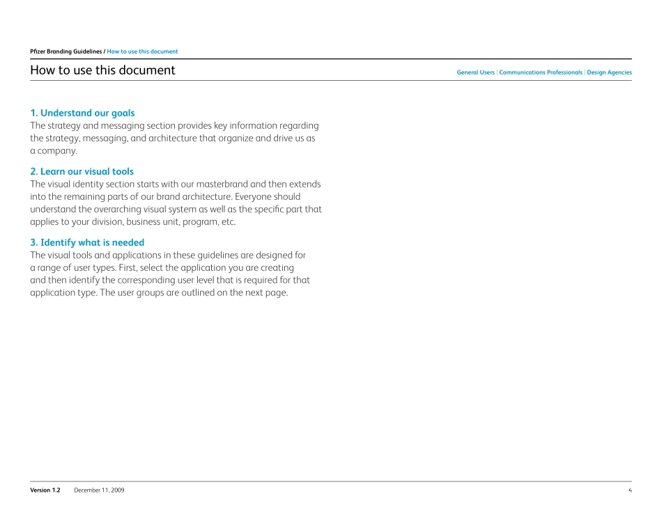 Pfizer-辉瑞品牌指南2009_第4页