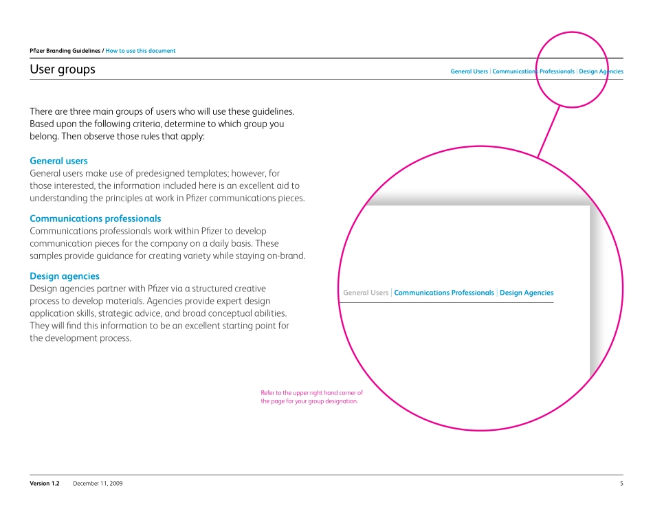 Pfizer-辉瑞品牌指南2009_第5页