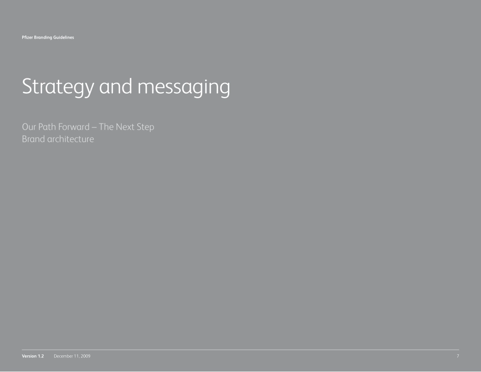 Pfizer-辉瑞品牌指南2009_第7页