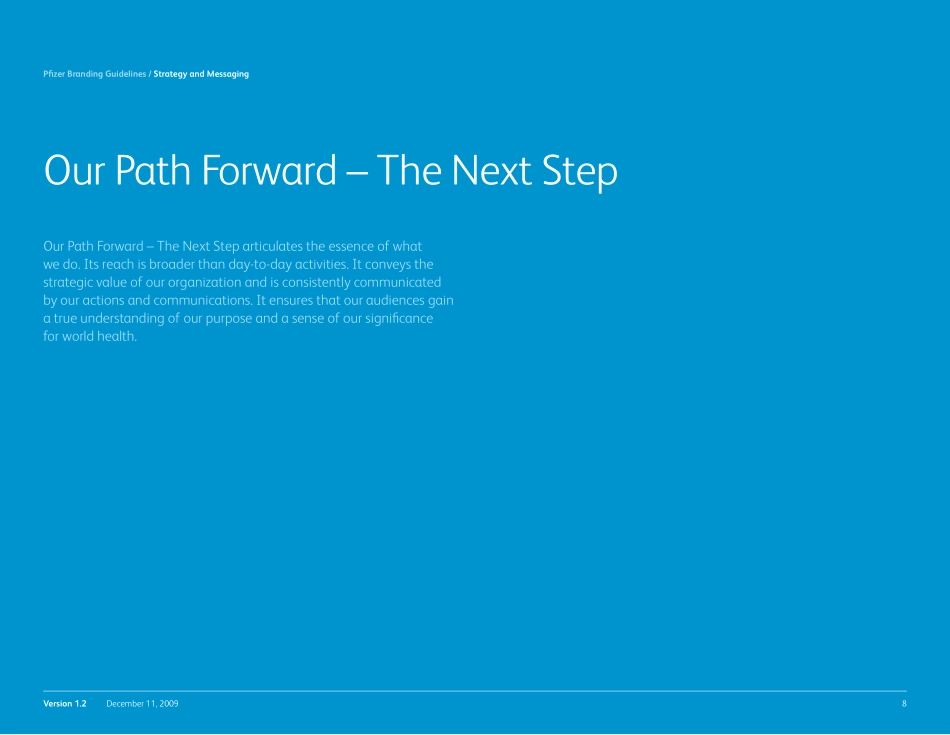 Pfizer-辉瑞品牌指南2009_第8页