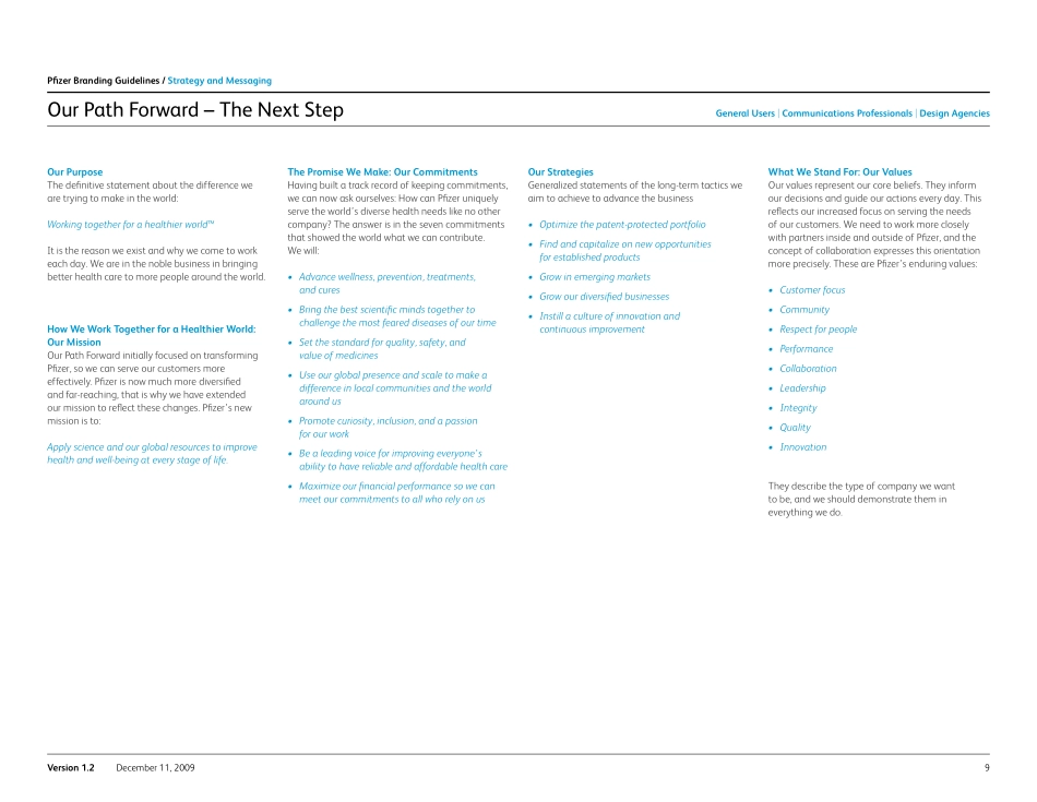 Pfizer-辉瑞品牌指南2009_第9页
