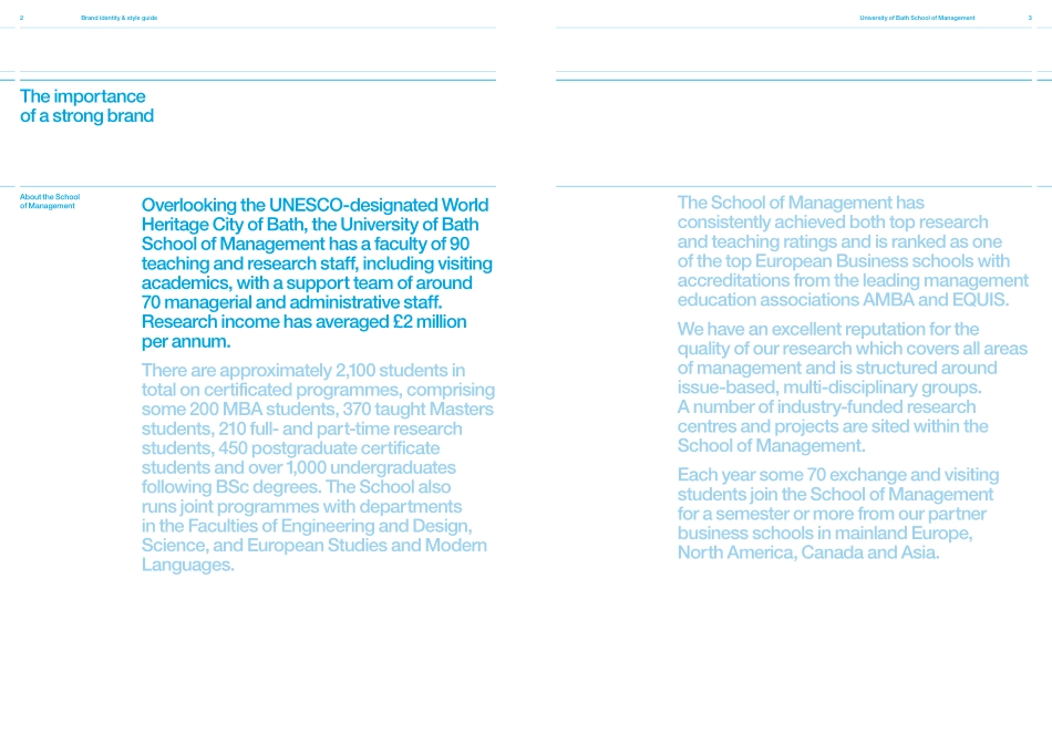 SoM_brand_guidelines_第3页