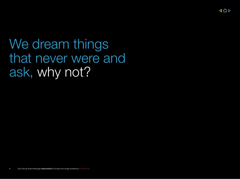 sony-make-believe-2009_第3页