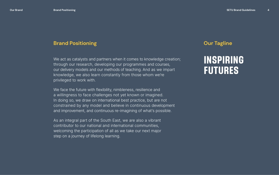 South East Technological University大学-品牌VI手册2022_第4页