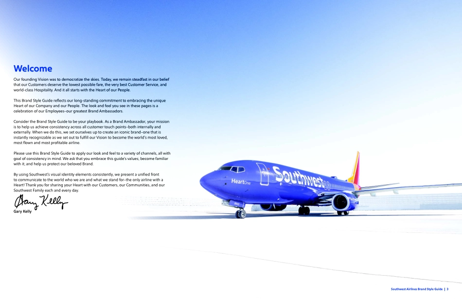 southwest-西南品牌 系统指南_第3页