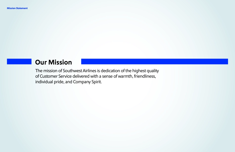 southwest-西南品牌 系统指南_第6页
