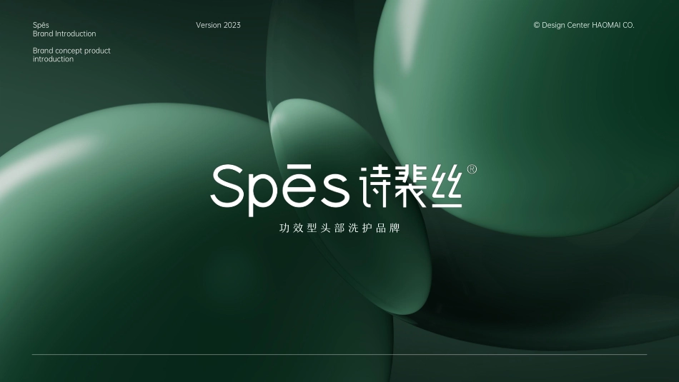 Spes诗裴丝品牌手册_第1页