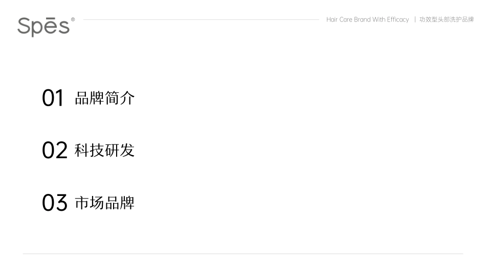 Spes诗裴丝品牌手册_第3页