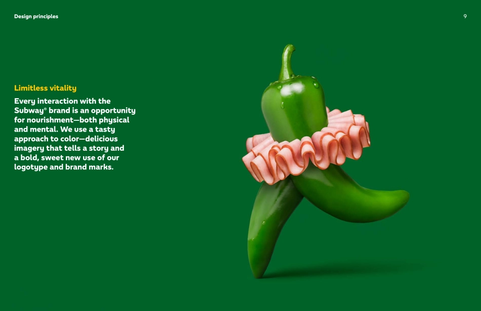 Subway识别系统VI手册_第9页