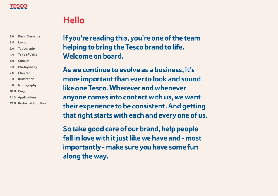 TESCO_VI手册2013_第5页