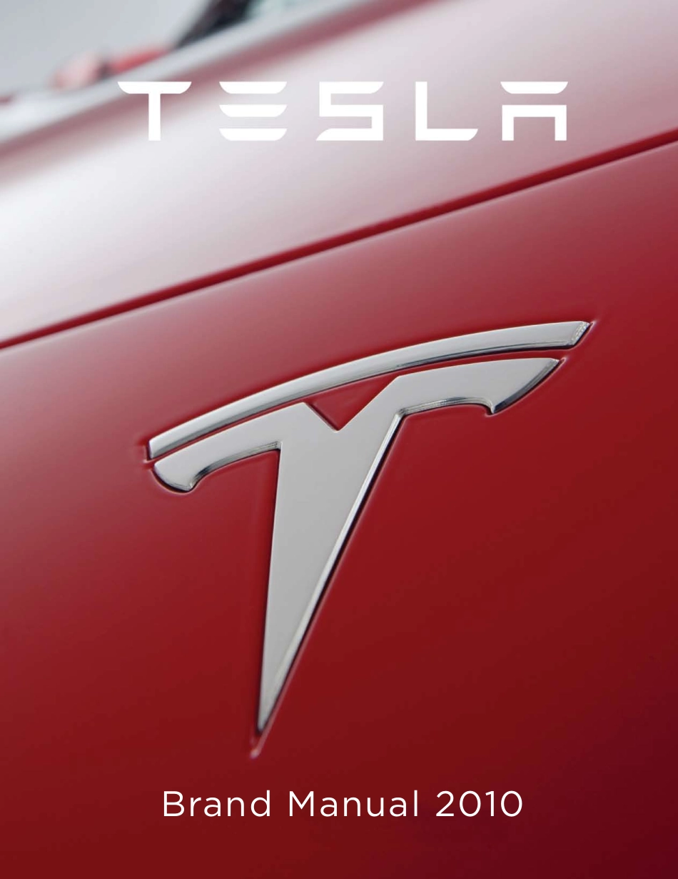 TeslaGuidelines_第1页