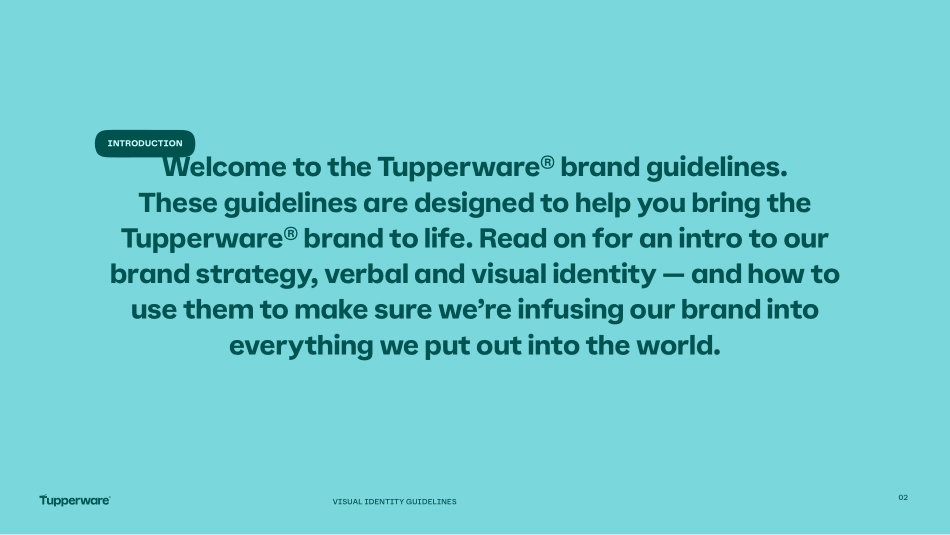 Tupperware特百惠2024品牌VI手册_第2页