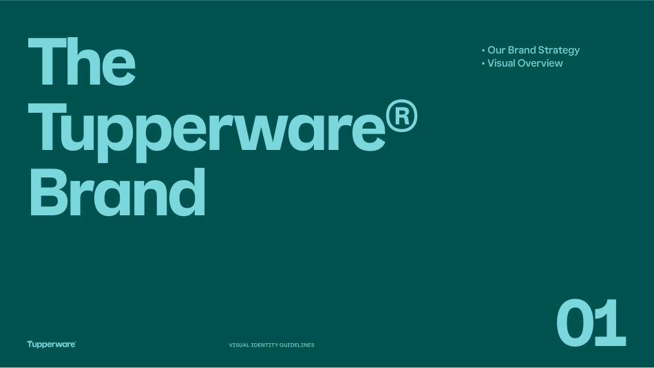 Tupperware特百惠2024品牌VI手册_第5页