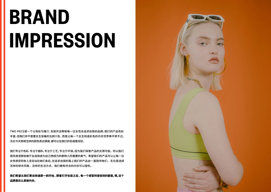 TWO PIECE 内衣品牌手册_第4页