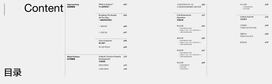 阿那亚品牌手册_第3页