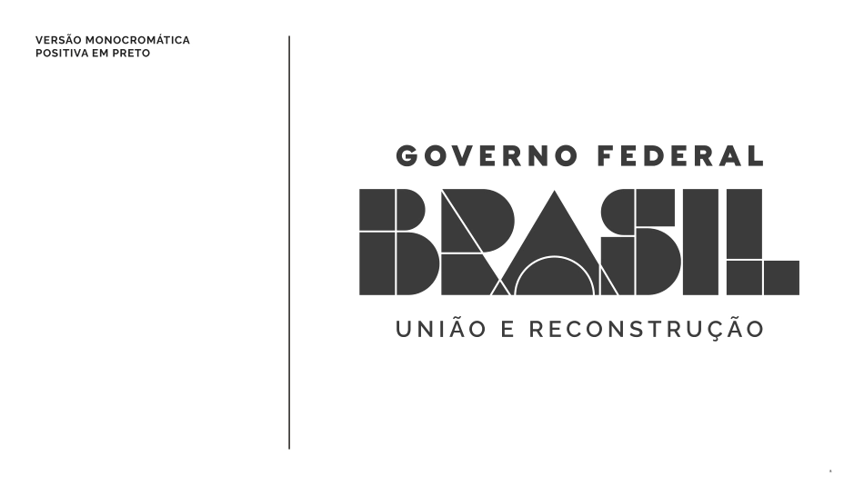 巴西联邦政府形象VI手册_第8页