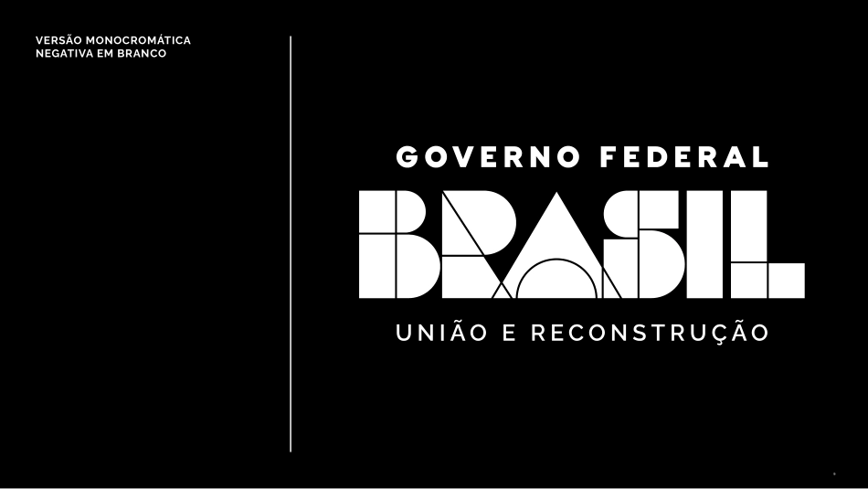 巴西联邦政府形象VI手册_第9页