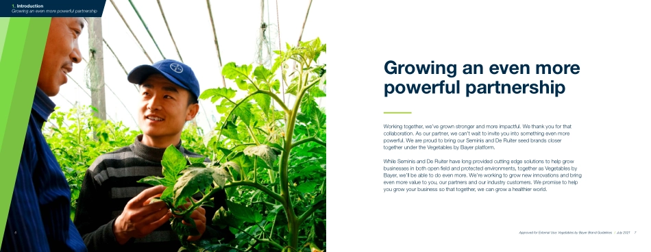 拜耳VBB_BrandGuidelines 2021_第4页