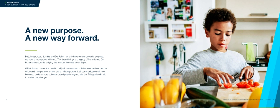 拜耳VBB_BrandGuidelines 2021_第5页