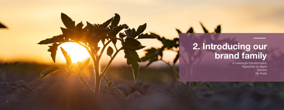 拜耳VBB_BrandGuidelines 2021_第7页