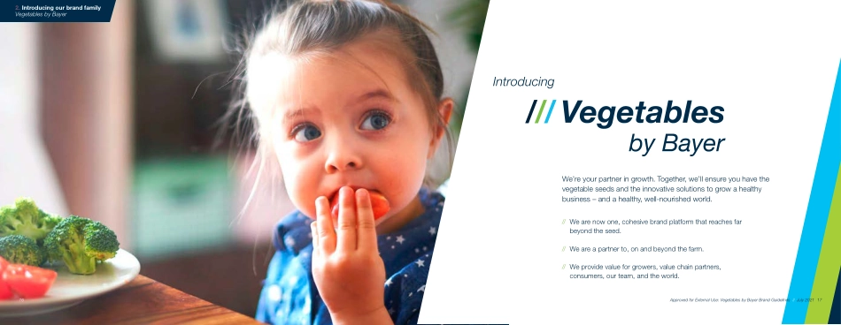 拜耳VBB_BrandGuidelines 2021_第9页