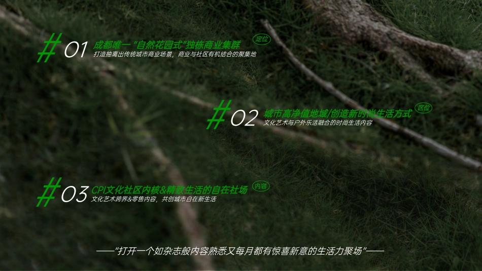 成都麓湖CPI BRANDBOOK - 2022_第7页