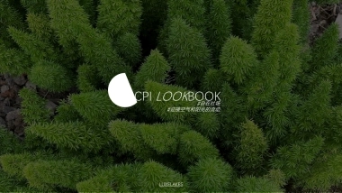 成都麓湖CPI BRANDBOOK - 2022