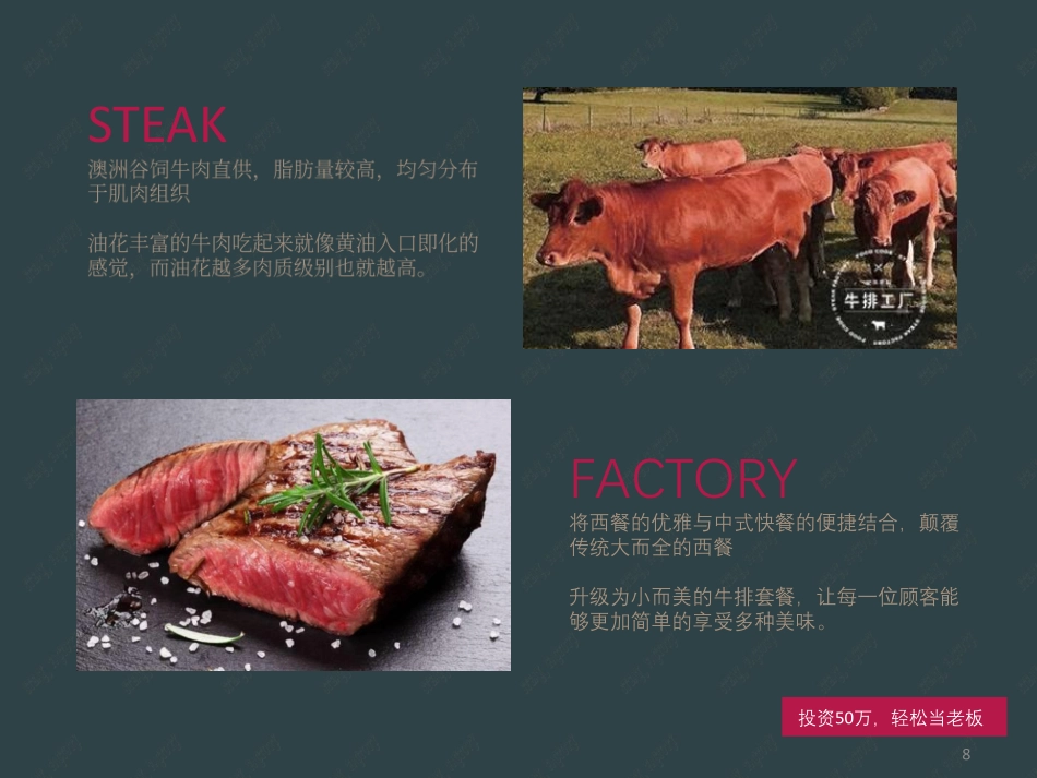 吃货密码牛排工厂店招商加盟品牌手册（39P）_第8页