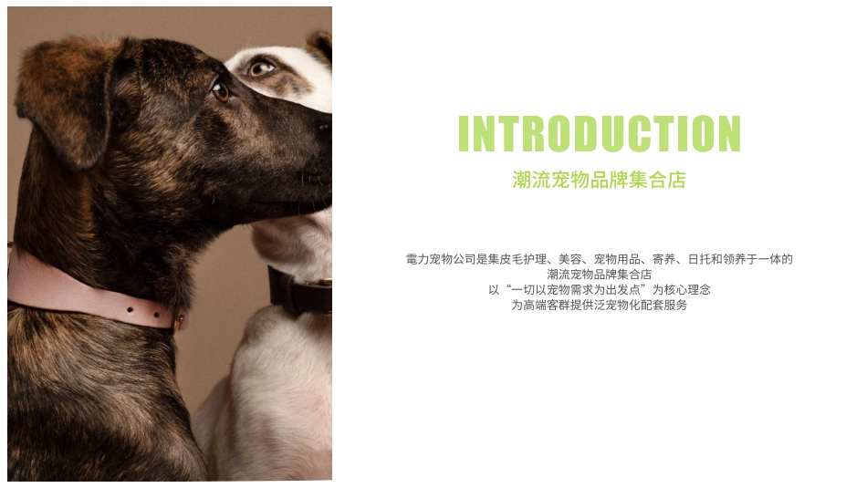 電力宠物公司品牌介绍 品牌手册_第2页