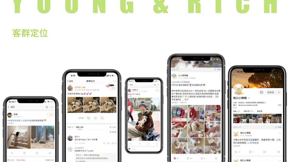 電力宠物公司品牌介绍 品牌手册_第4页