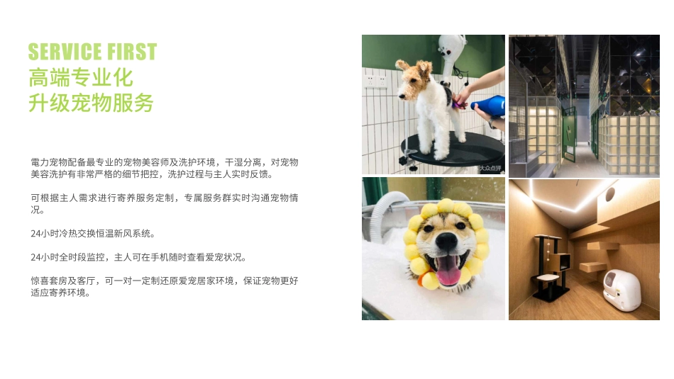 電力宠物公司品牌介绍 品牌手册_第5页