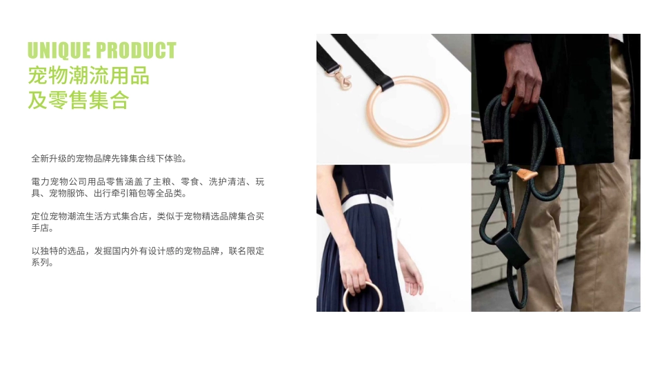 電力宠物公司品牌介绍 品牌手册_第6页