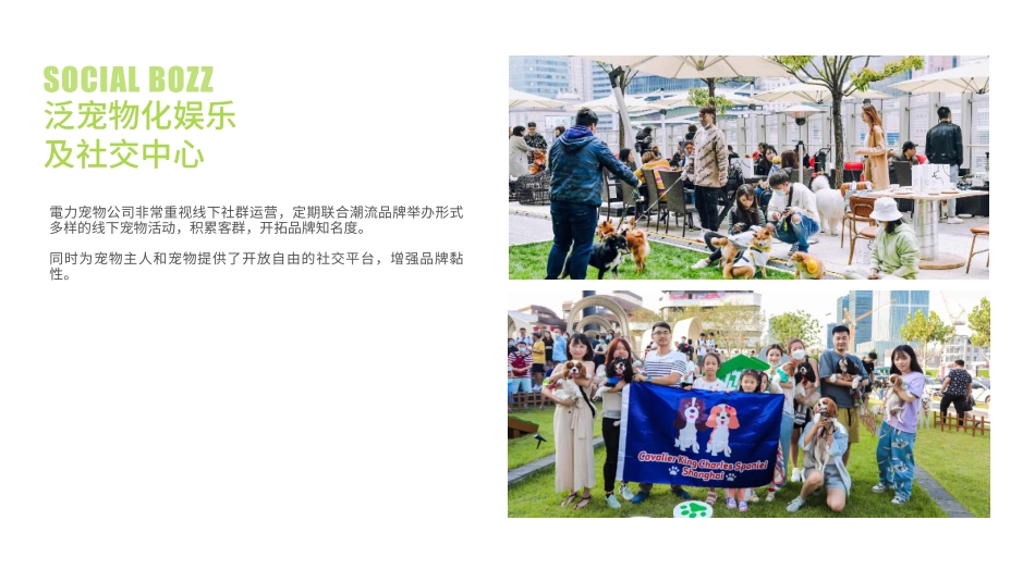 電力宠物公司品牌介绍 品牌手册_第7页