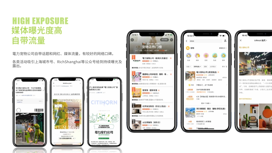 電力宠物公司品牌介绍 品牌手册_第8页