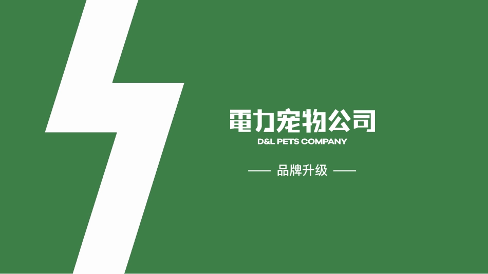 電力宠物公司品牌介绍 品牌手册_第9页