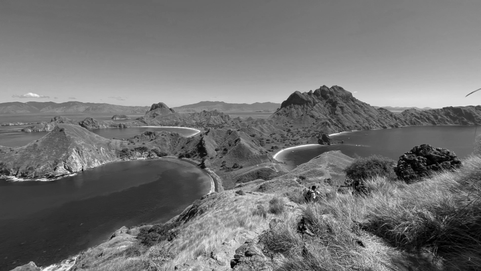 东盟印度尼西亚 VI 手系统册2023_第2页